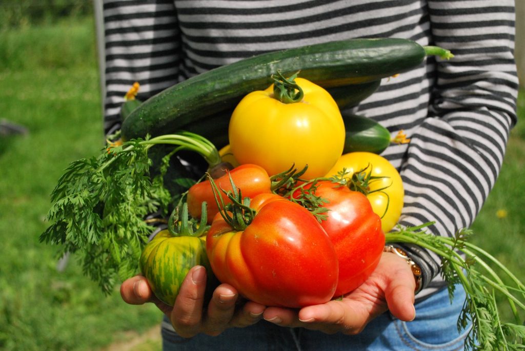 agriculture de qualité
